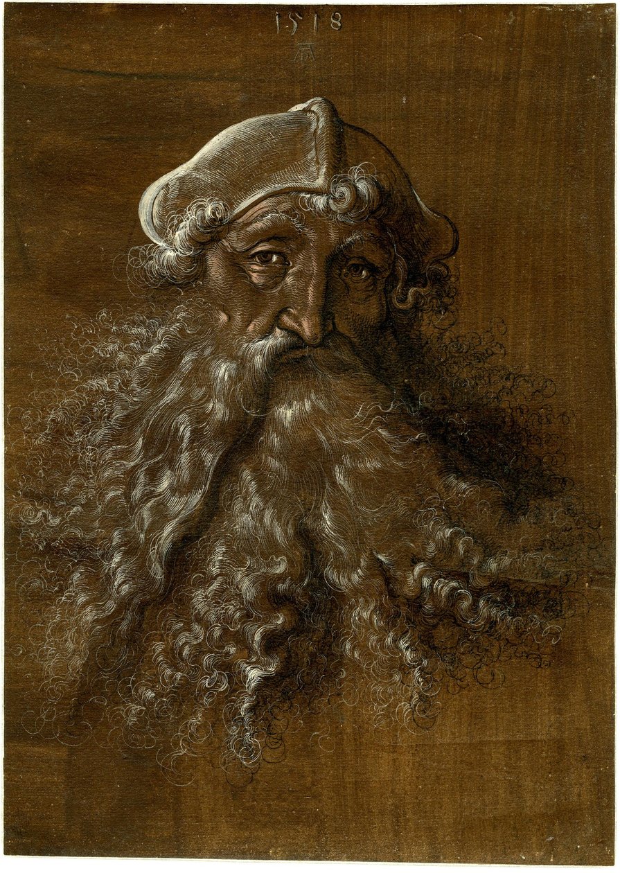 Hovedet af en gammel mand med kraftigt skæg af Hans Baldung Grien