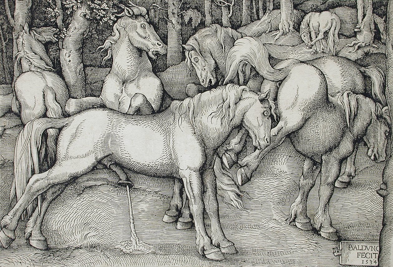 En hingst og en hoppe, der sparker ud, midt i en flok vilde heste i skoven af Hans Baldung Grien