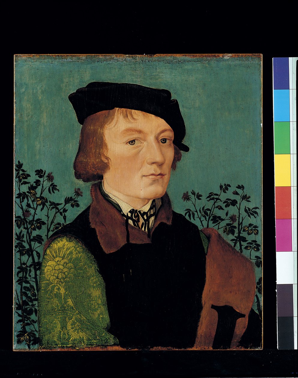 Portræt af en mand foran en rosenhæk (olie på træ) af Hans Baldung Grien