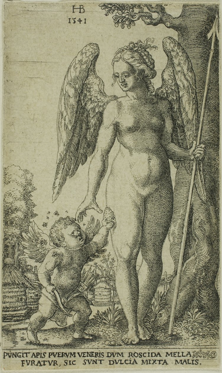 Amor, der bringer og honeycomb til Venus af Hans Brosamer