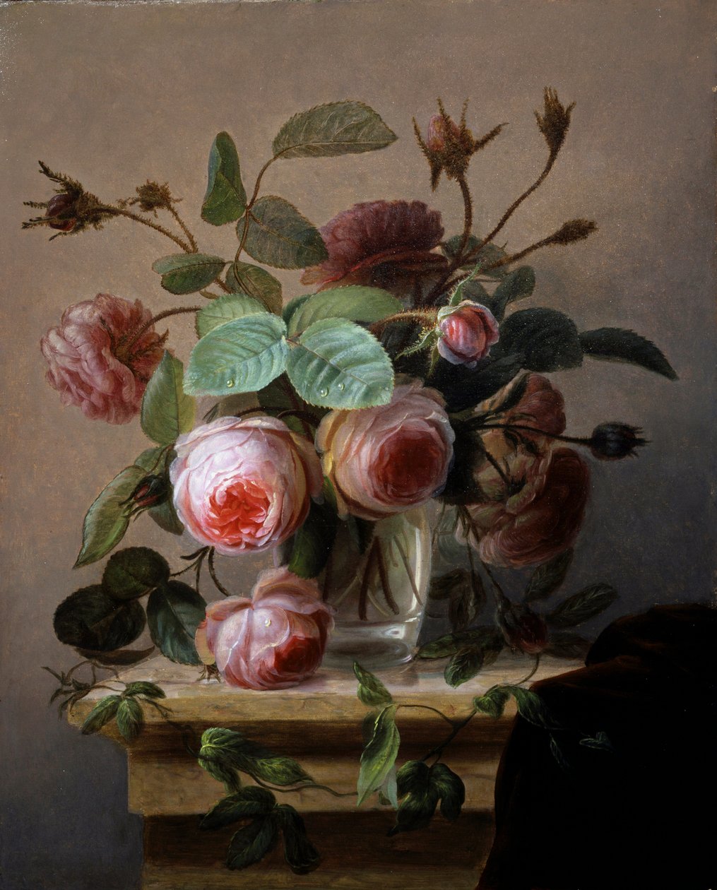  af Hans Hermann