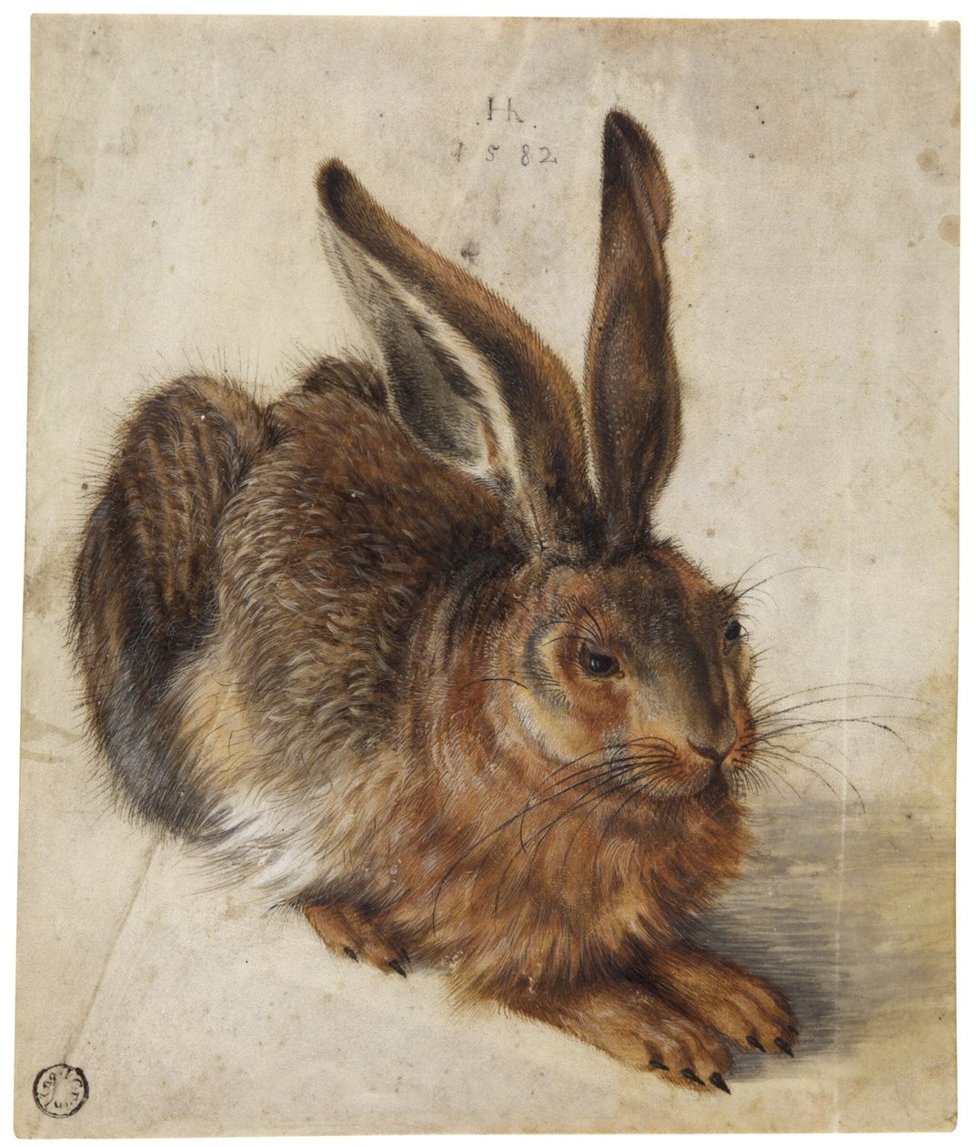 En hare af Hans Hoffmann