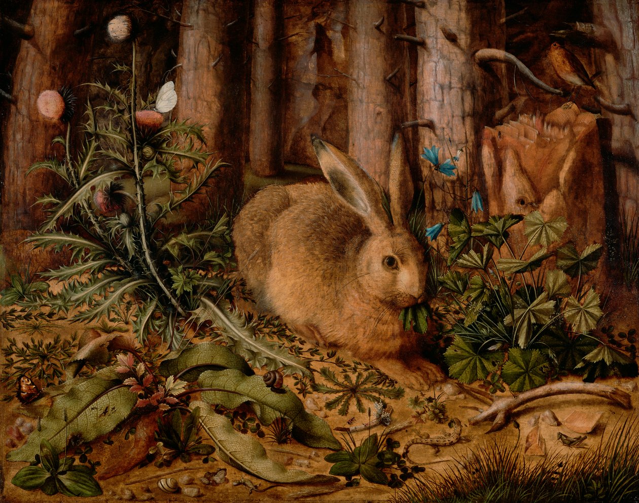 En hare i skoven, ca. 1585 (olie på panel) af Hans Hoffmann