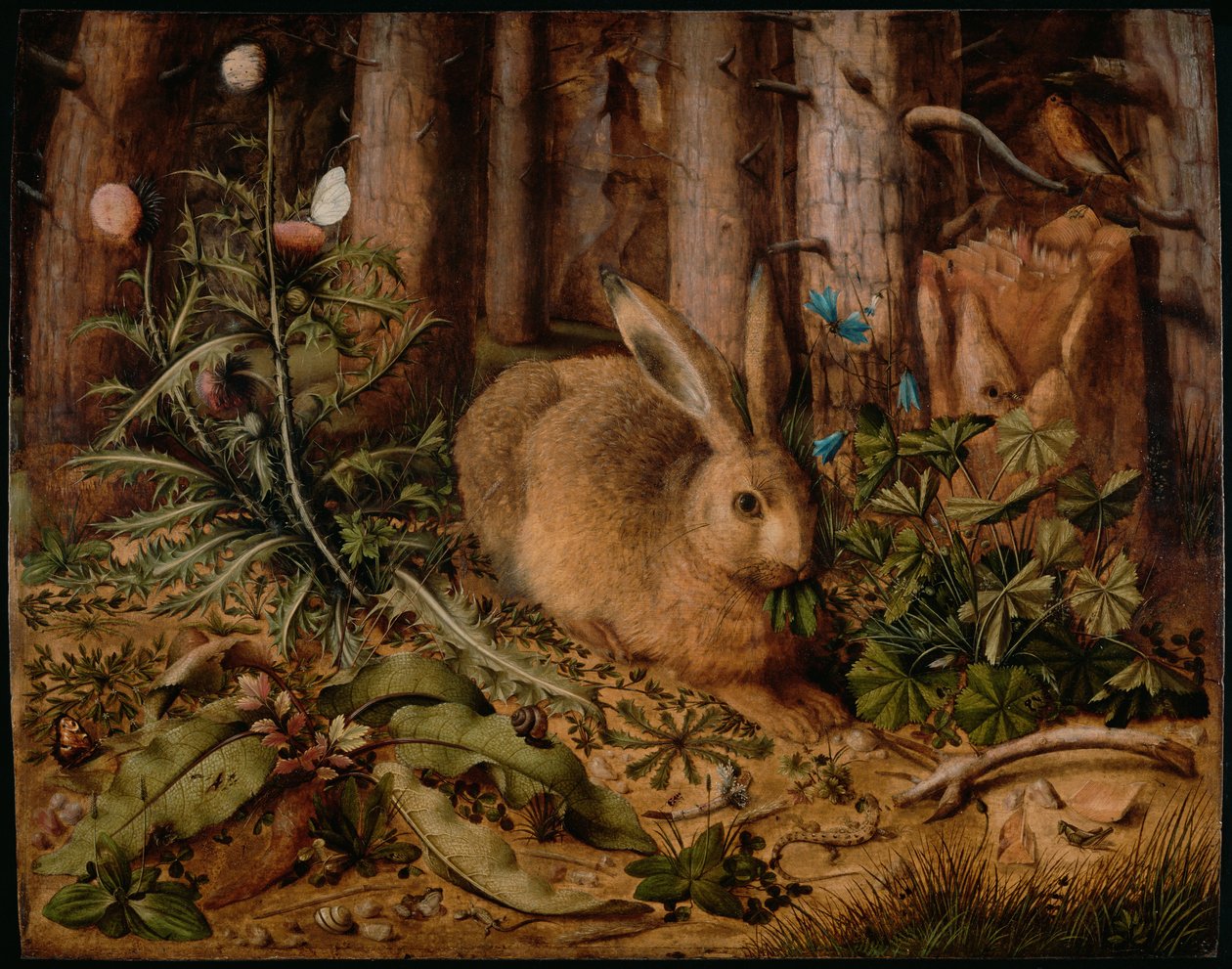 En hare i skoven, ca 1585 af Hans Hoffmann