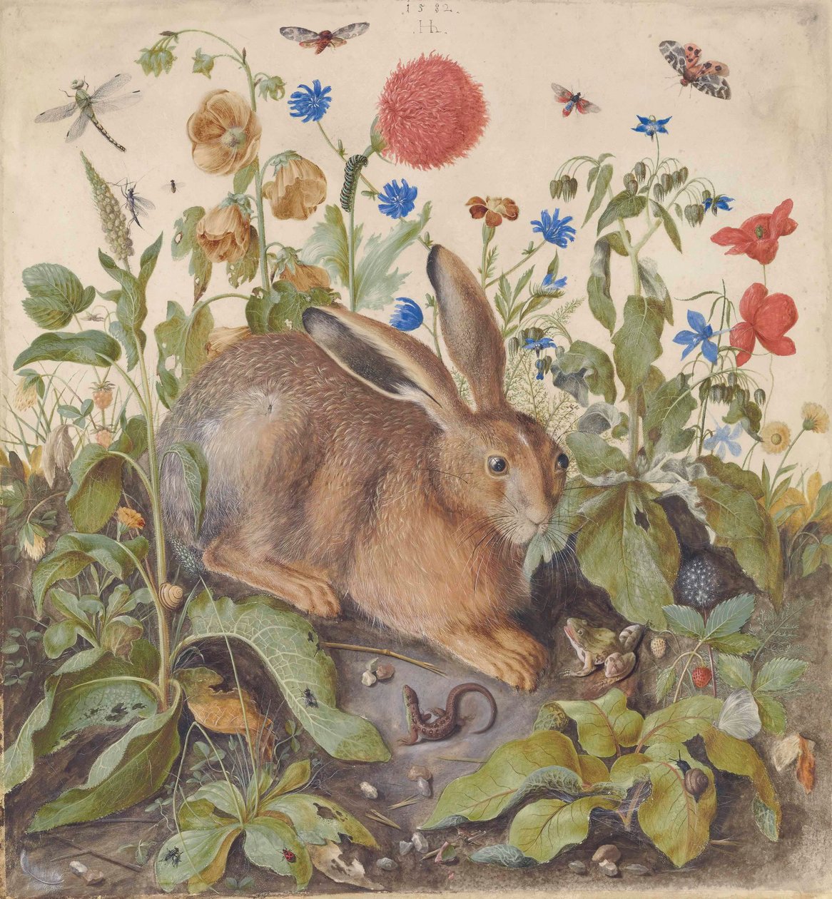 En hare blandt planter af Hans Hoffmann