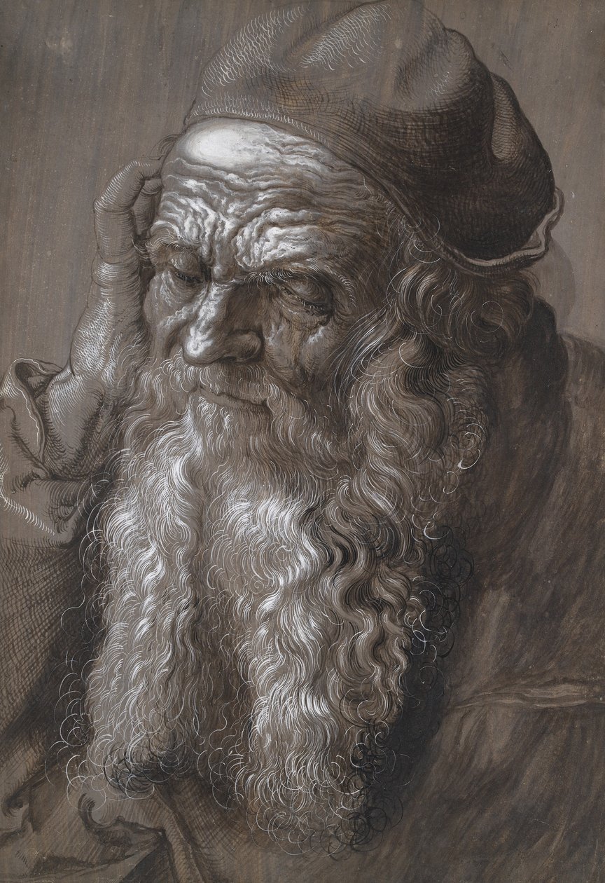 En gammel mand på 93: St Jerome (pensel og blæk) af Hans Hoffmann