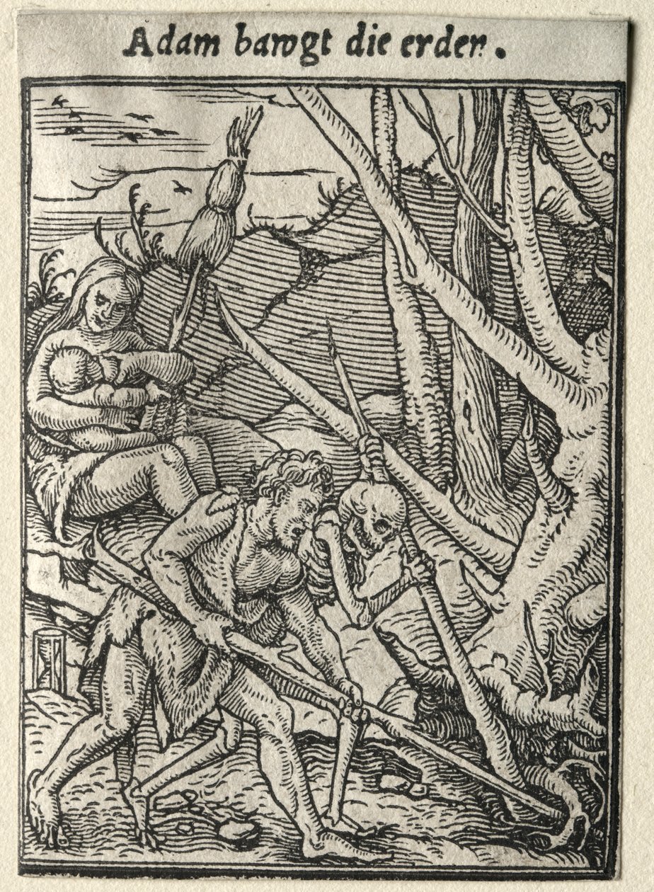 Dødedansen: Adam Tilling the Ground af Hans Holbein