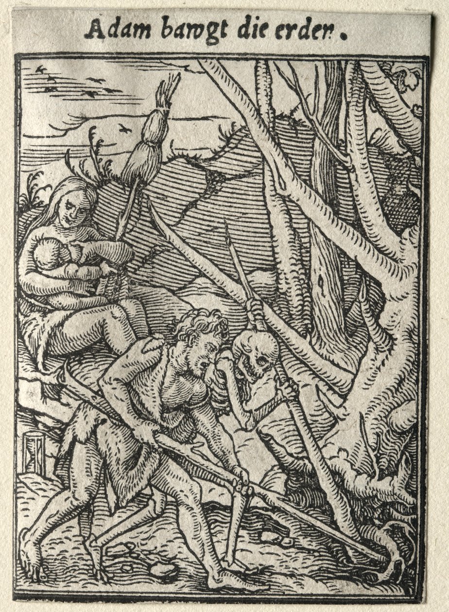 Dødedansen: Adam Tilling the Ground. af Hans Holbein