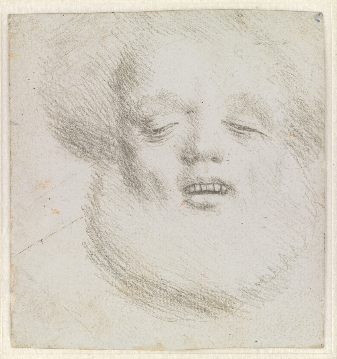 Hovedet af en skægget mand i ansigtet set nedefra af Hans Holbein d.Æ.