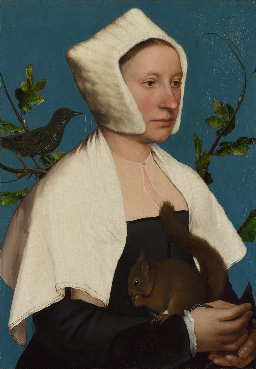 En dame med et egern og en stær (Anne Lovell)  af Hans Holbein the Younger