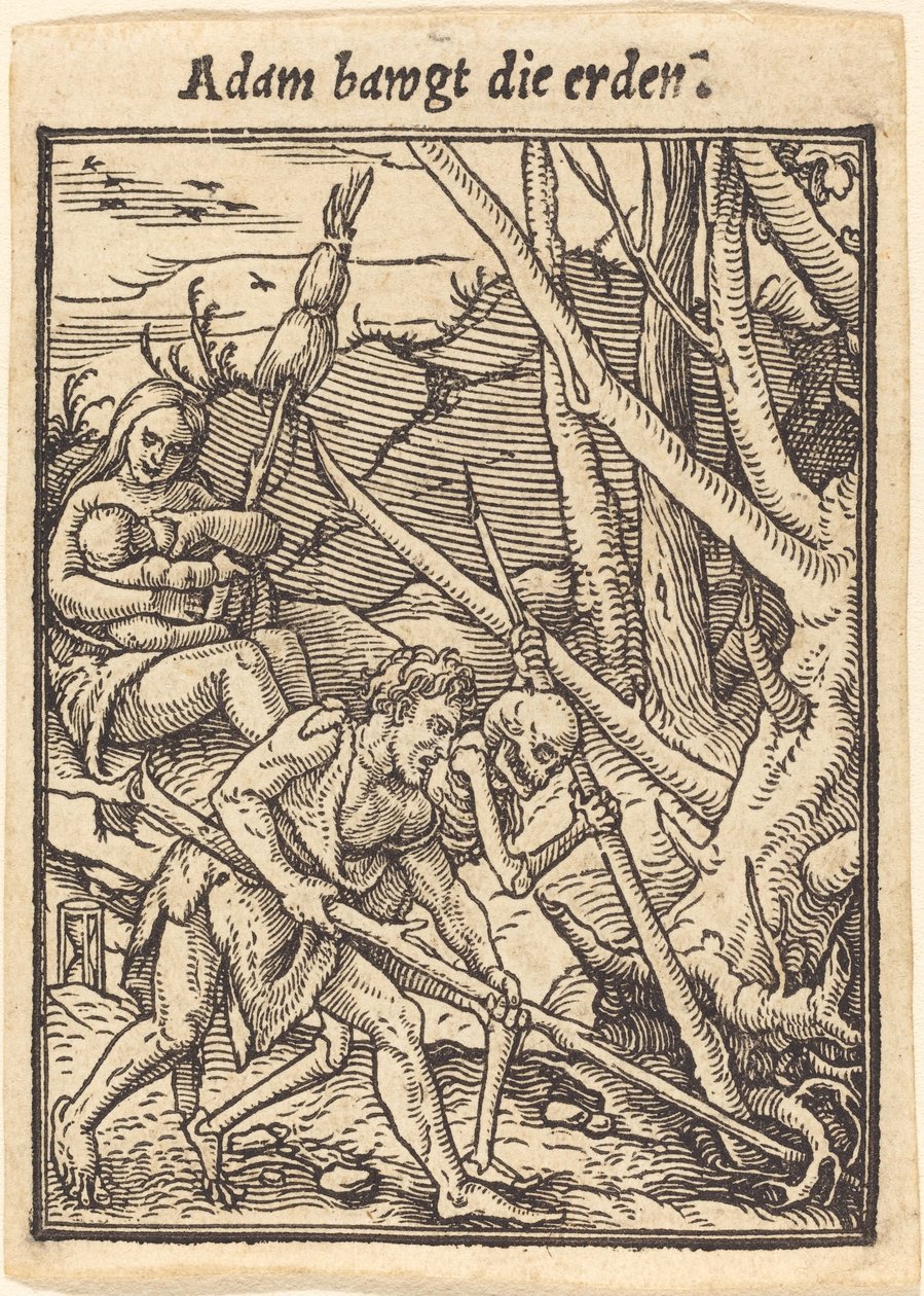 Adam ryster jorden. af Hans Holbein der Jüngere