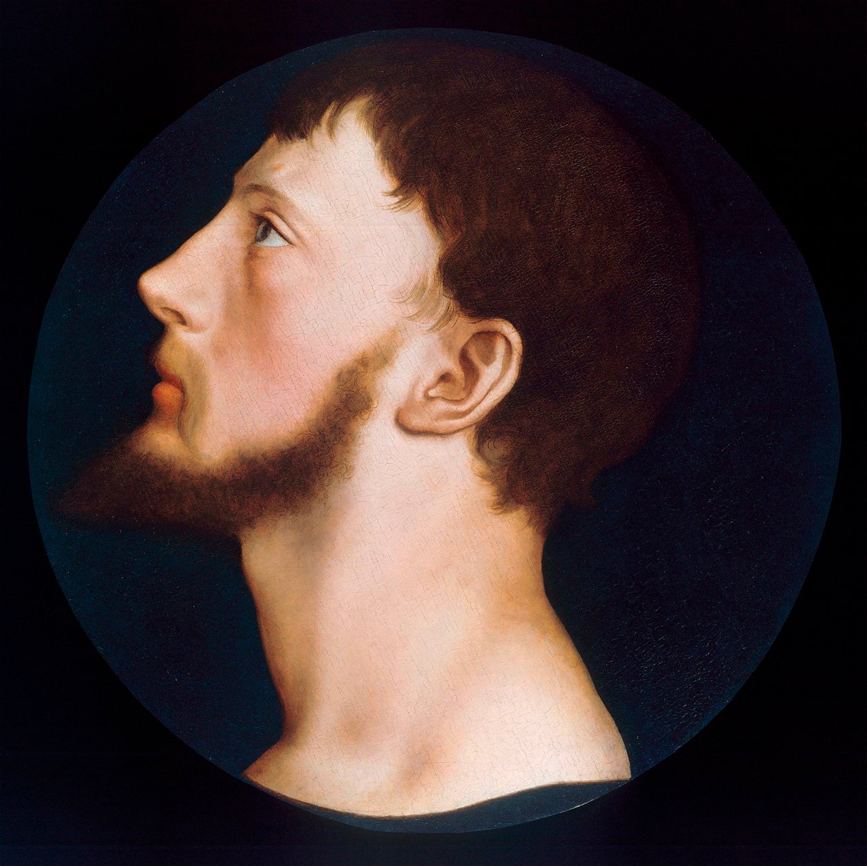 Portræt af Thomas Wyatt den Yngre, ca. 1541 af Hans Holbein der Jüngere