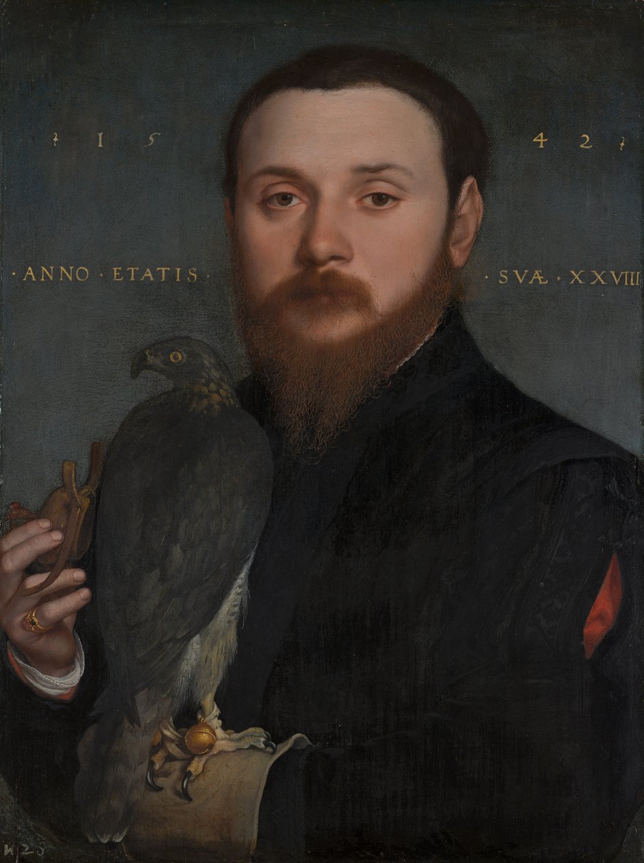 Portræt af en adelsmand med en høg, 1542 af Hans Holbein der Jüngere