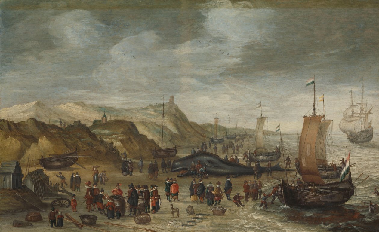 Kaskelotti huuhtoutui Noordwijkin rannalle 28. joulukuuta 1614 af Hans I Savery