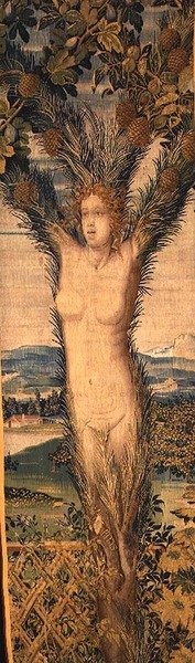 Et af et par gobeliner forestillende Daphne og Pitys, midten af 1500-tallet (tæppe) af Hans Karcher