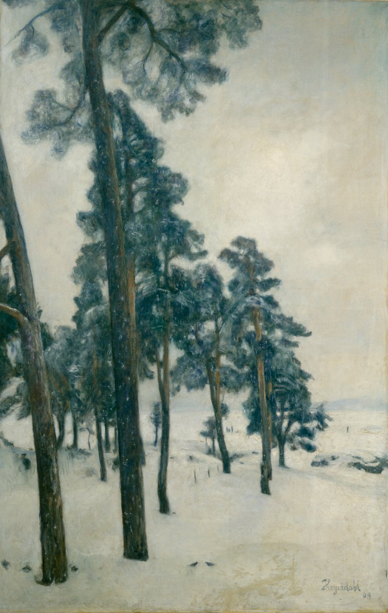 Fra Bogstad sø af Hans Olaf Heyerdahl