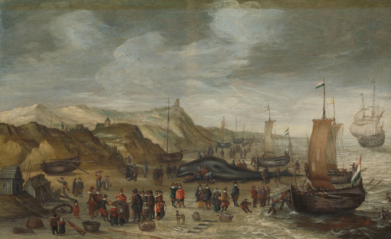 En kaskelothval skyllet op på stranden ved Noordwijk, 28. december 1614 af Hans Savery (I) (attributed to)