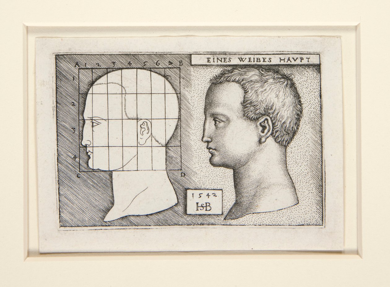 Andel undersøgelser til af Hans Sebald Beham