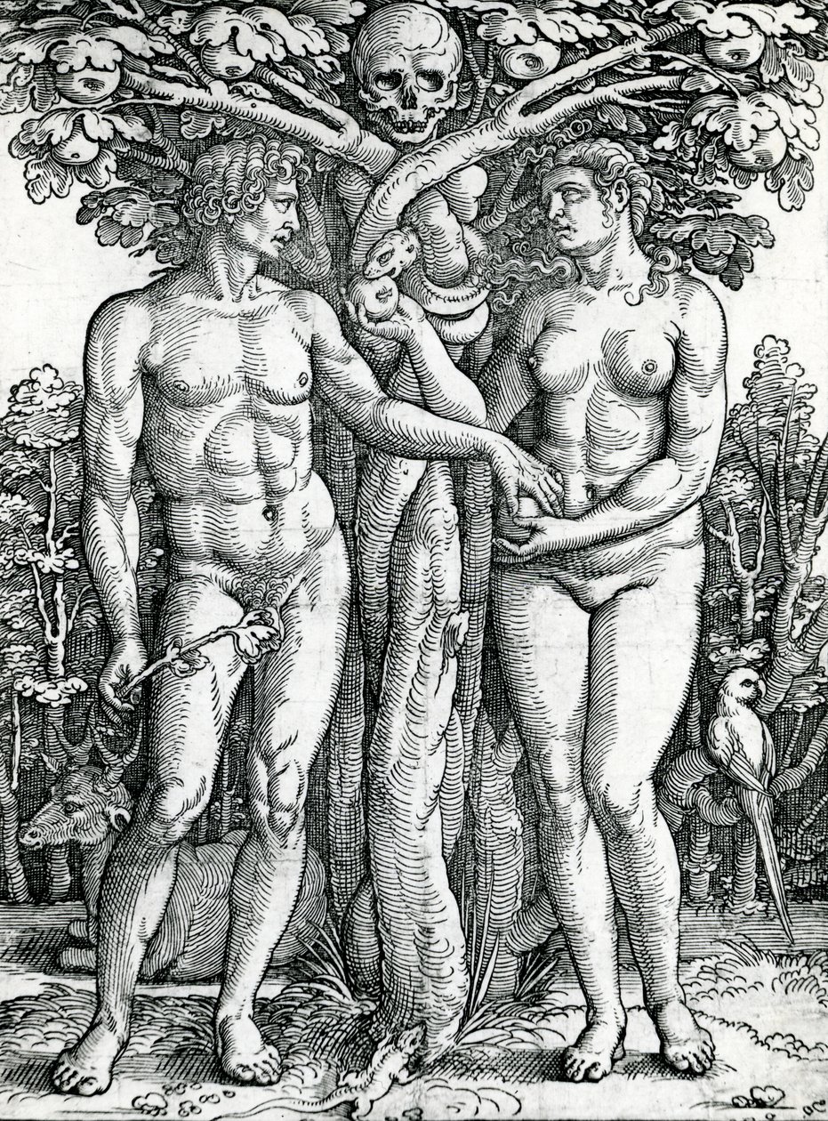 Adams og Evas fald, ca. 1525-27 (træsnit) af Hans Sebald Beham