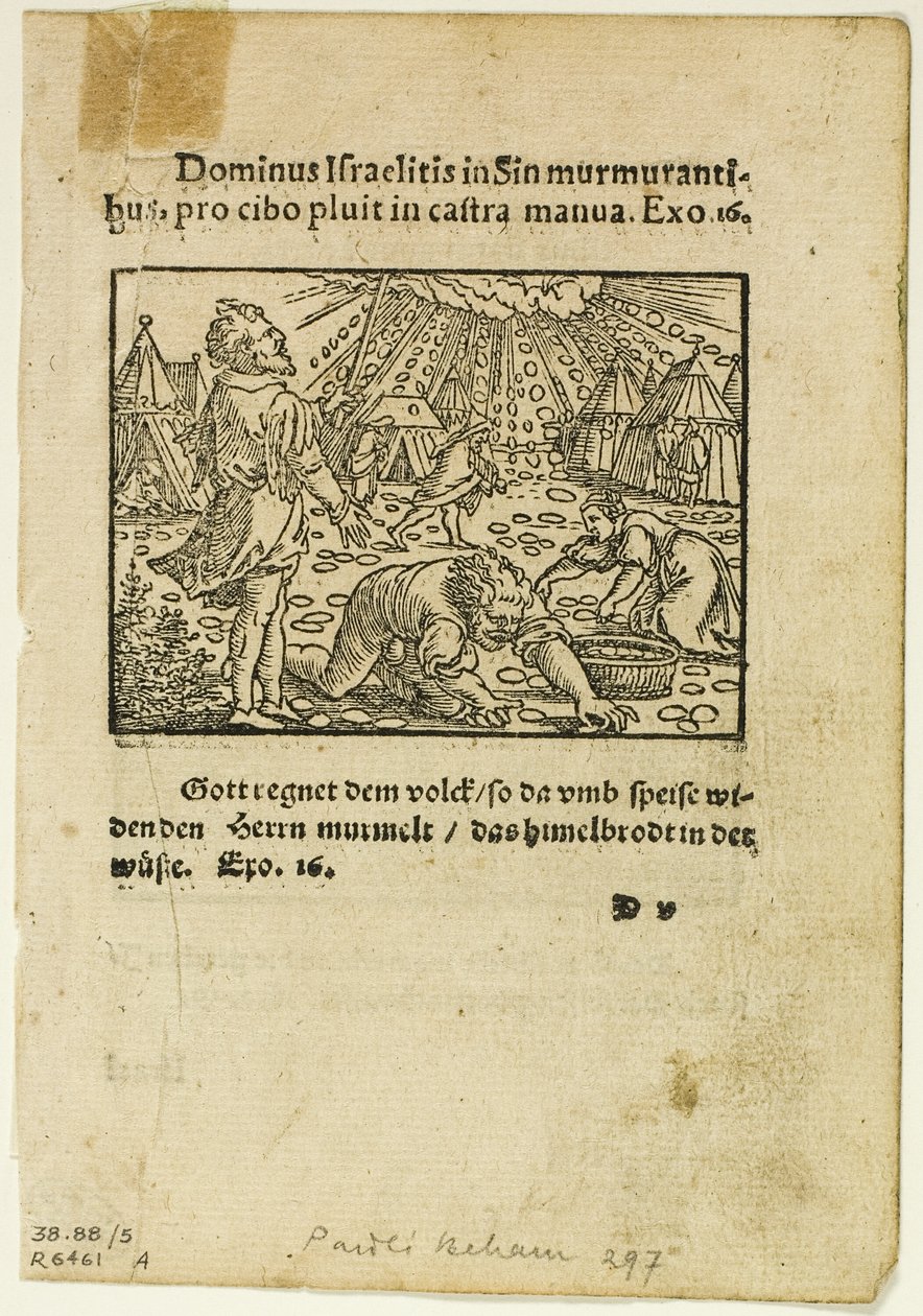 Manna-regnen fra Biblische Historien Künstlich fürgemalt, planche fem fra Træsnit fra bøger fra det XVI århundrede af Hans Sebald Beham