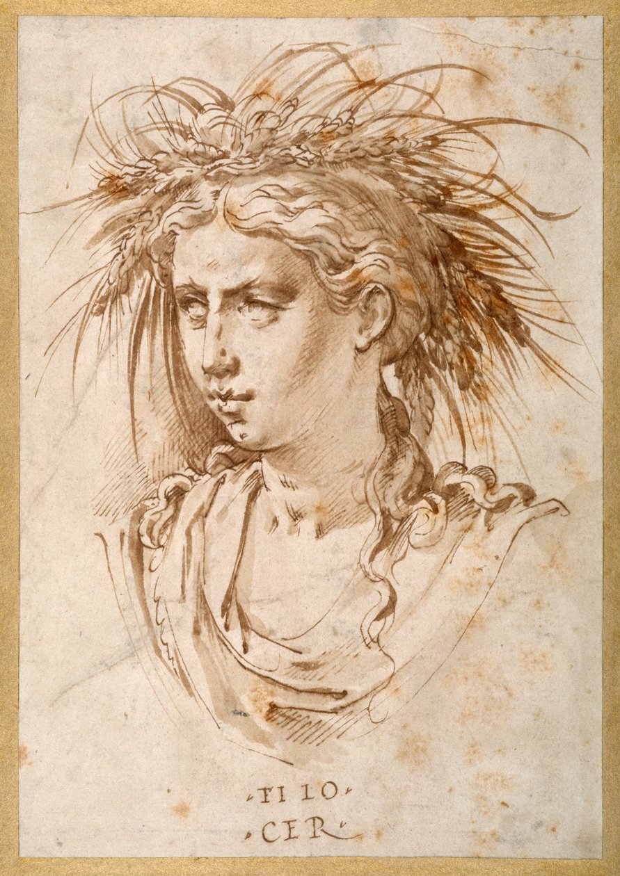 Head of Ceres (pen og brunt blæk på papir) af Hans Speckaert