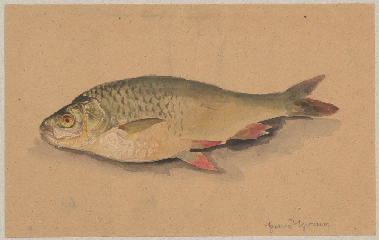 Fisk af Hans Thoma