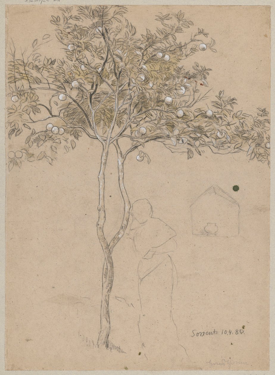 Studie af et appelsintræ fra området omkring Sorrento. Omrids af en kvindefigur af Hans Thoma