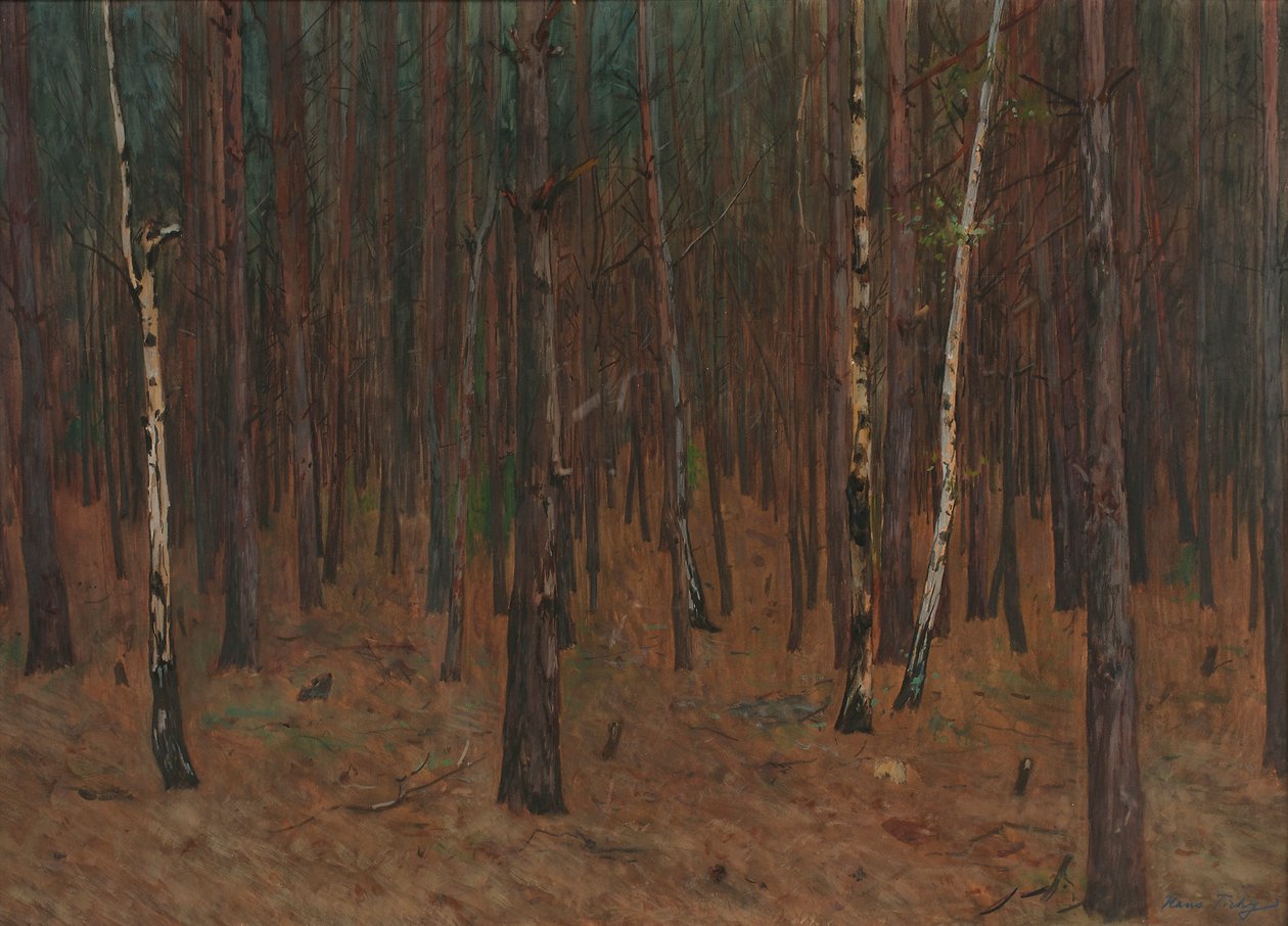 Waldinneres af Hans Tichy