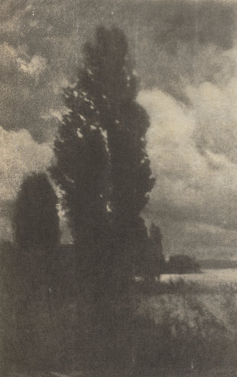 Kameraarbejde: Poplars and Clouds, 1906. af Hans Watzek