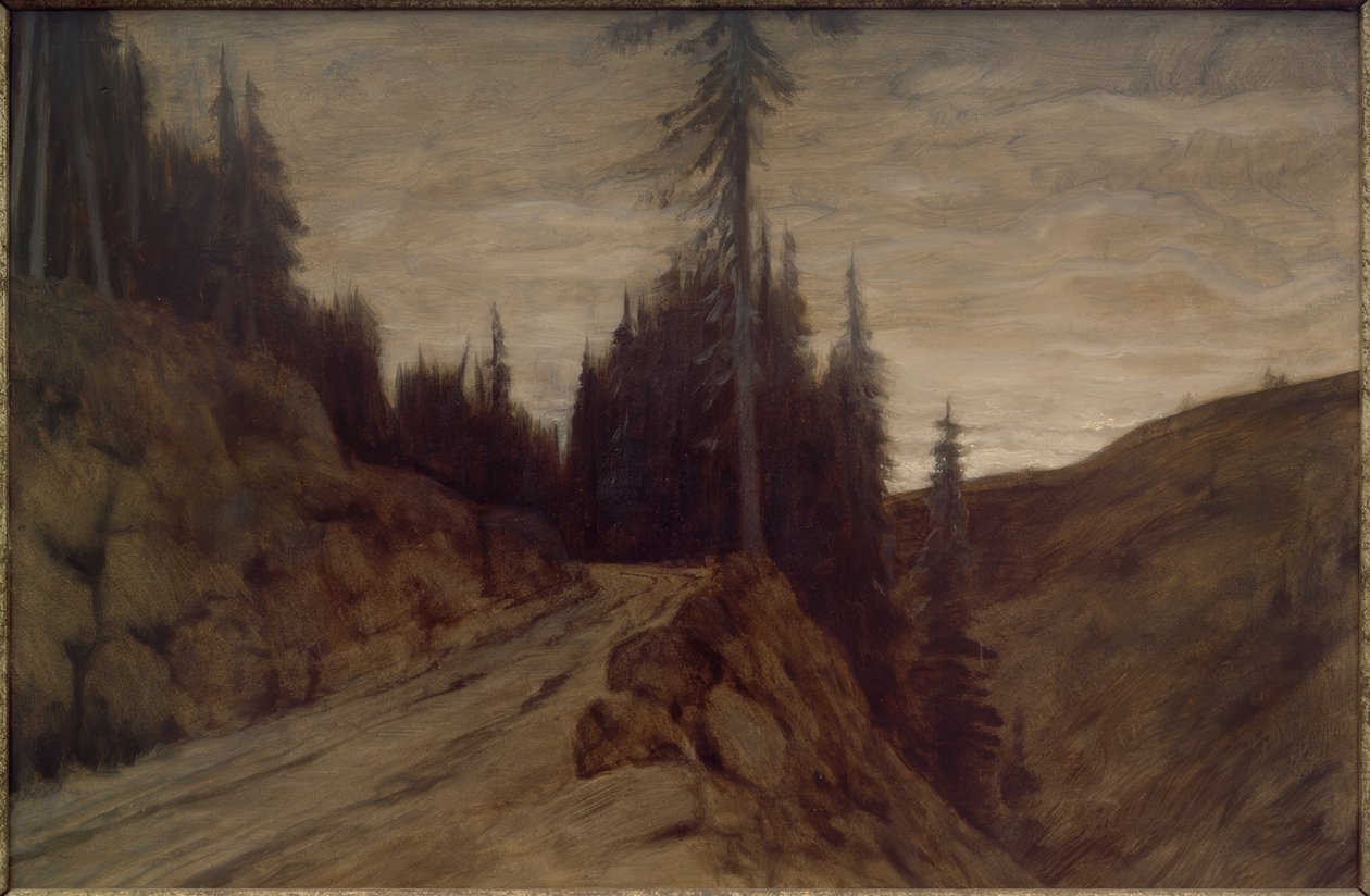Grantræer i tusmørket af Hans am Ende