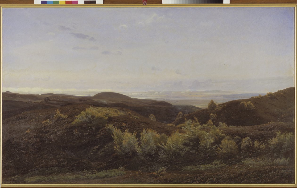Heather Hills ved Rye, Jylland af Harald Foss