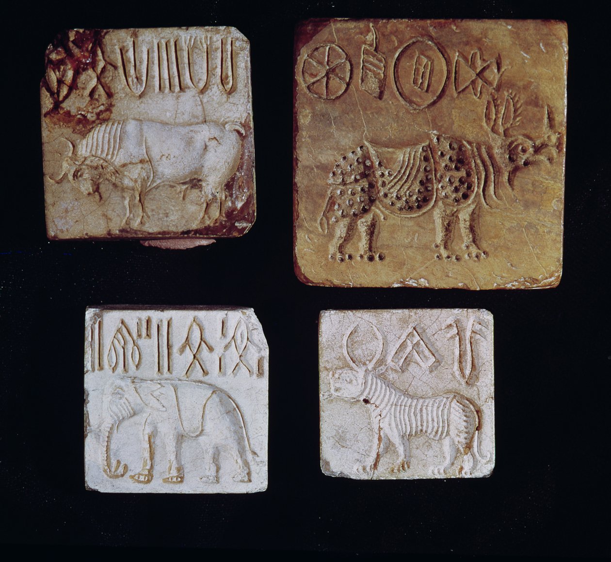 Fire sæler forestillende en tyr, et næsehorn, en elefant og en tiger med piktografiske symboler, fra Indusdalen, Pakistan, 3000-1500 f.Kr. af Harappan