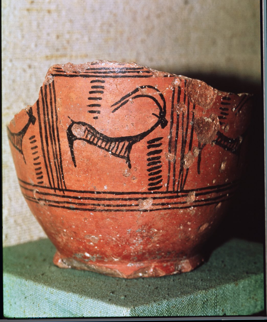 Fragment af en vase, der forestiller en stenbuk, fra Mohenjo-Daro, Indus Valley, Pakistan (keramik) af Harappan