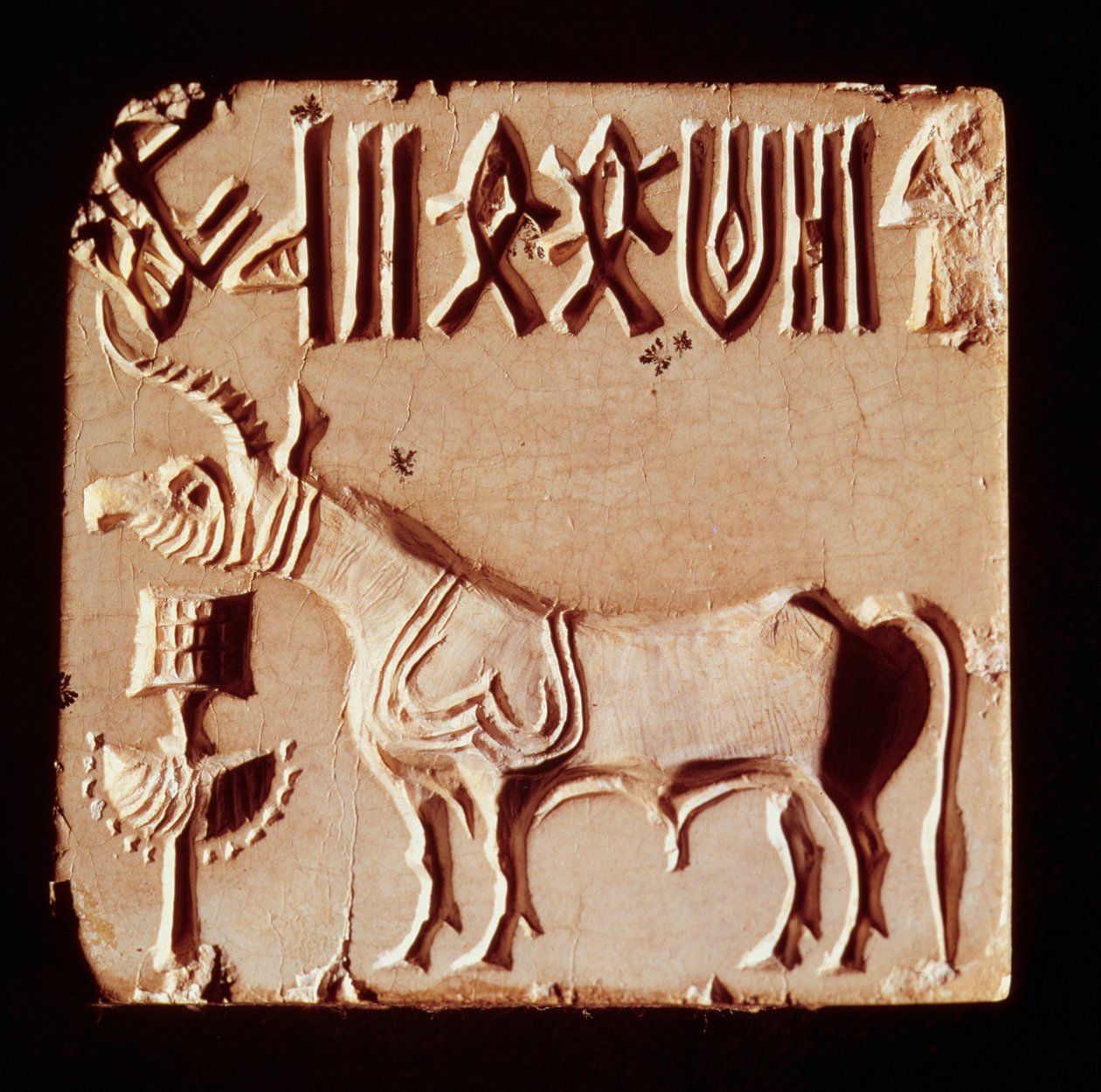 Segl, der forestiller et mytologisk dyr og piktografiske symboler, fra Mohenjo-Daro, Indusdalen, Pakistan, 3000-1500 f.Kr. af Harappan