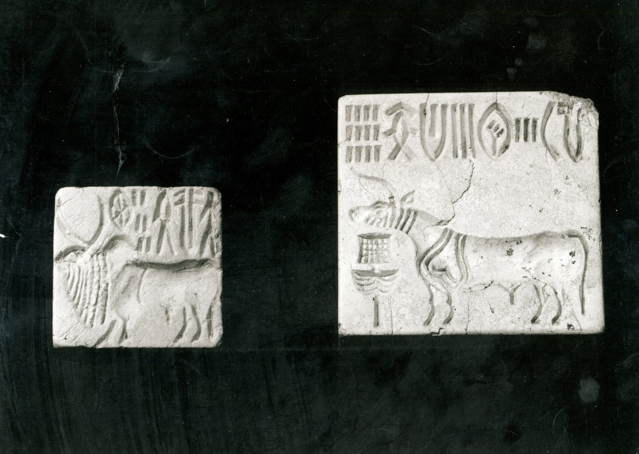 To dekorerede sæler, der forestiller en zebu og en tyr, fra Mohenjodaro, protohistorisk af Harappan