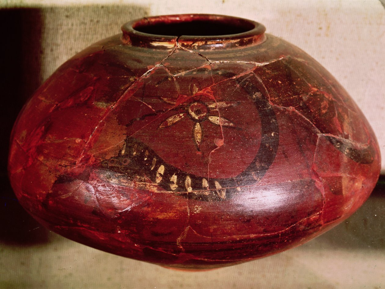 Vase dekoreret med en slange og en blomst, fra Kot Diji, Indus Valley, Pakistan, 3000-1500 f.Kr. (keramik) af Harappan
