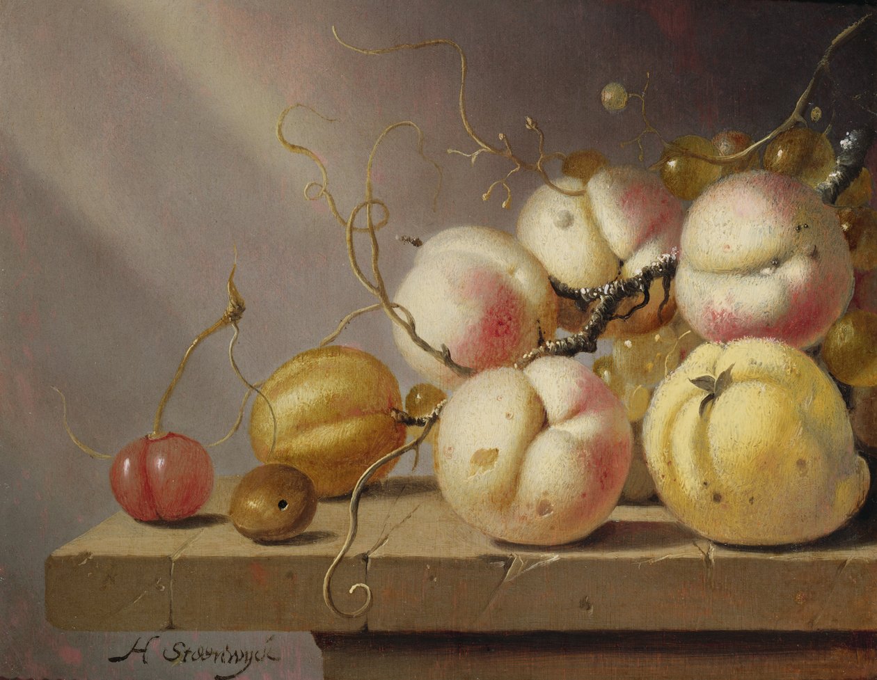 Stilleben af frugt på en kant (panel) af Harmen van Steenwyck