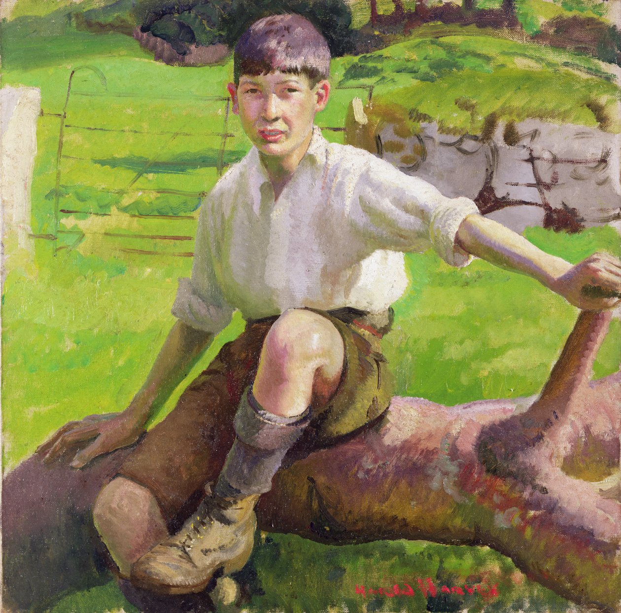 A Cornish Boy (olie på lærred) af Harold Harvey