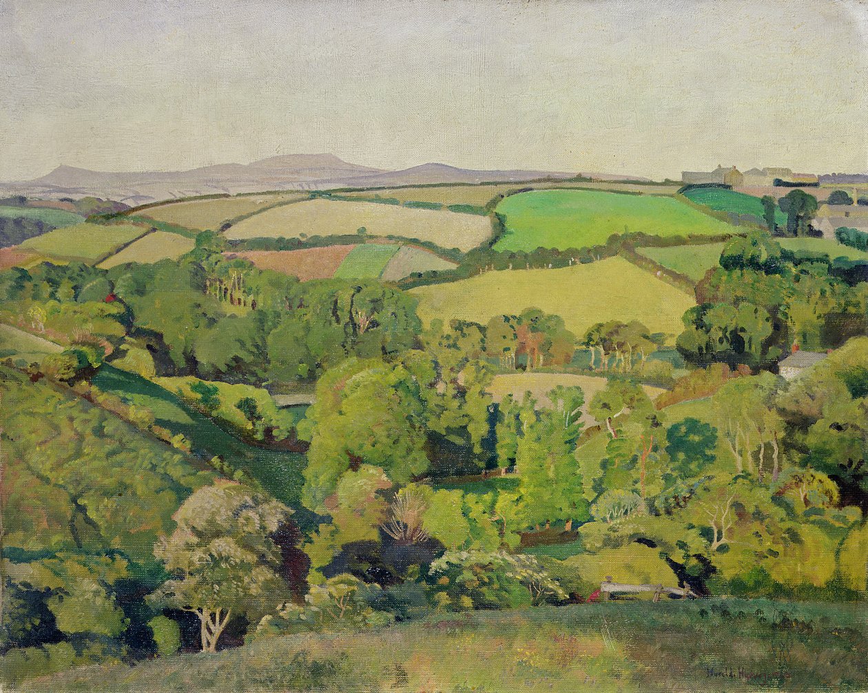 Drift Valley (olie på lærred) af Harold Harvey