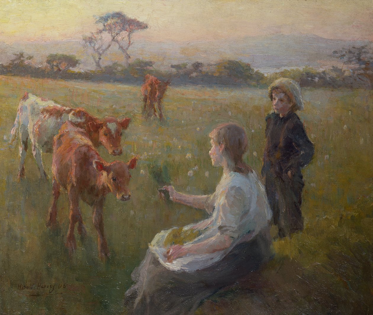 Fodring af kalvene af Harold Harvey