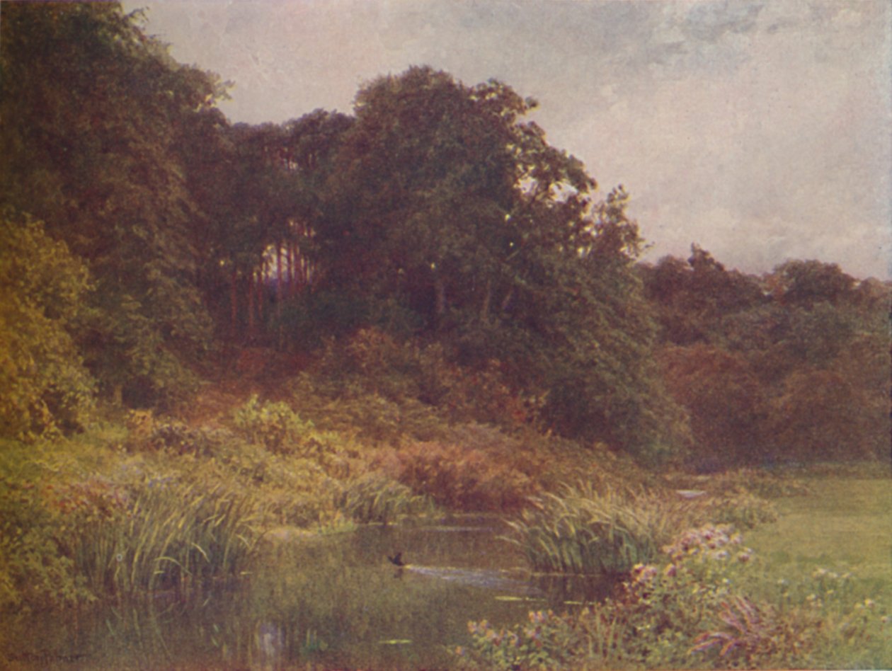 En bæk, 1910 af Harold Sutton Palmer