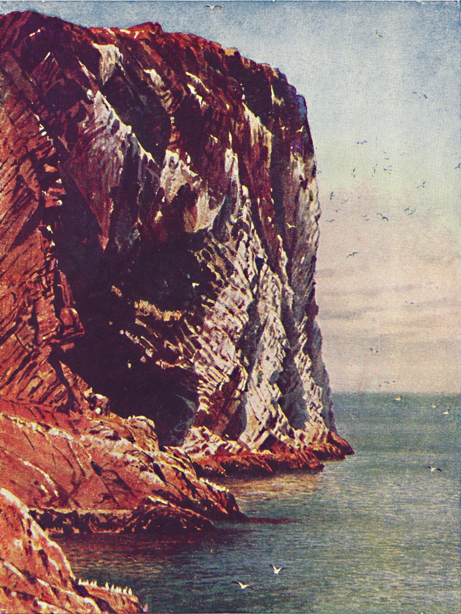 Bass Rock, 1910 af Harold Sutton Palmer