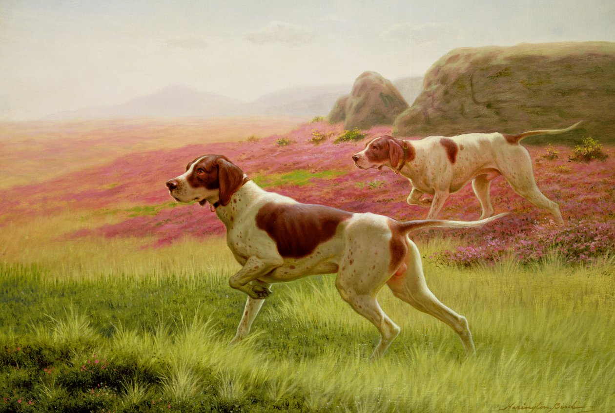 Pointers in a Landscape, 1800-tallet af Harrington Bird