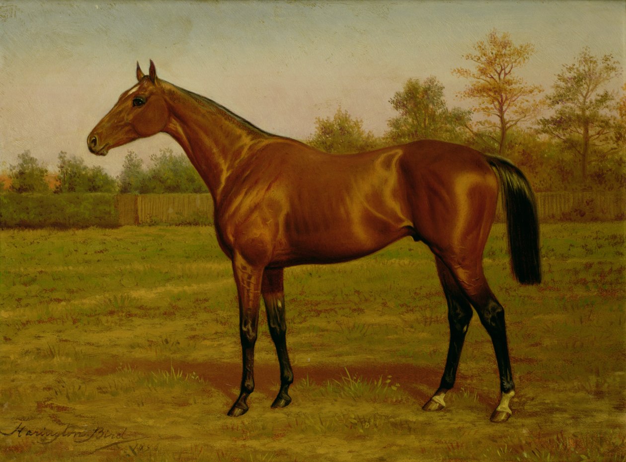 Isinglass, Triple Crown, 1893 af Harrington Bird