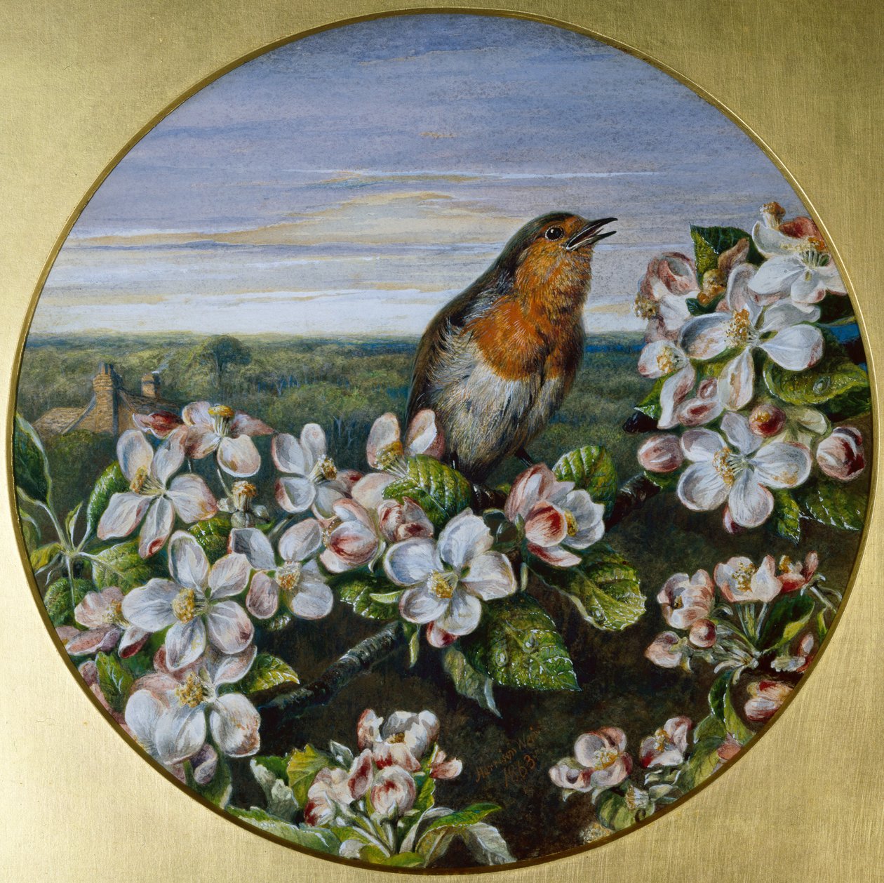 En Robin Among Blossom af Harrison William Weir