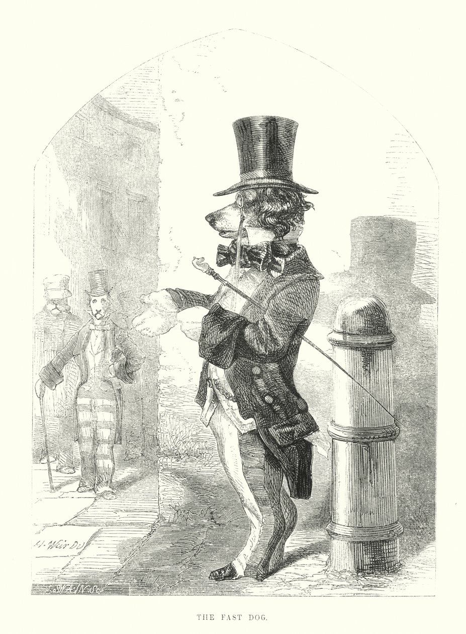 Sjove hunde: Den hurtige hund (gravering) af Harrison William Weir