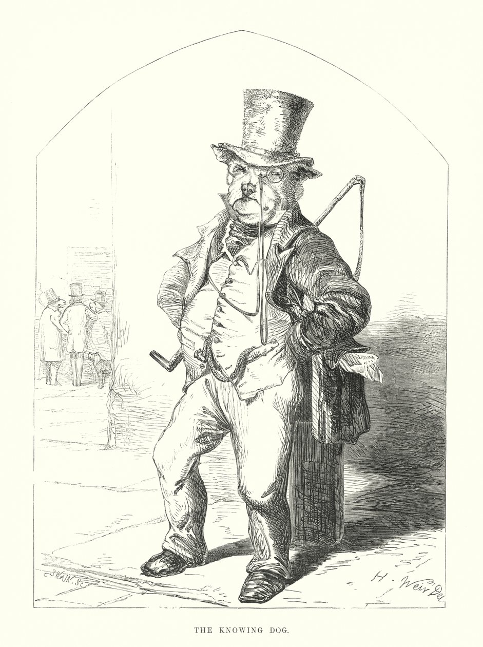 Sjove hunde: Den vidende hund (gravering) af Harrison William Weir
