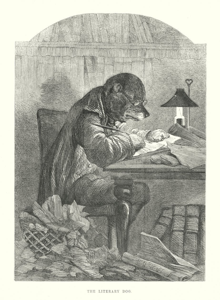 Sjove hunde: Den litterære hund (gravering) af Harrison William Weir