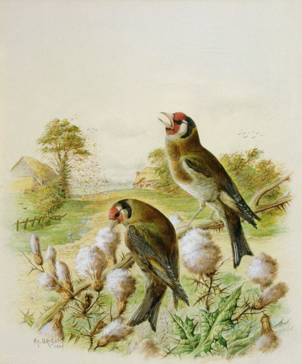 Guldfinker på tidsler, 1889 af Harry Bright