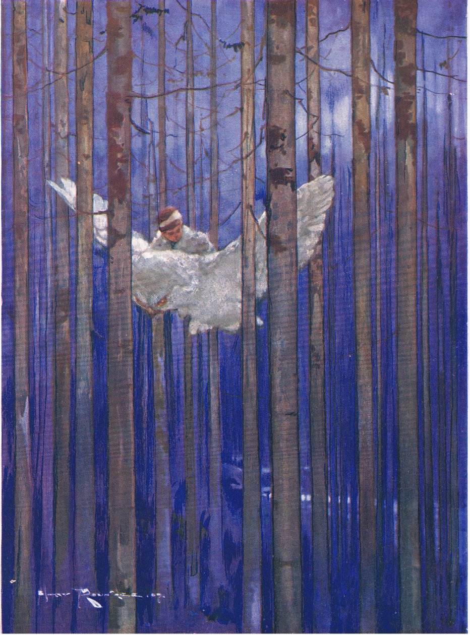 Uglen og Gilbert havde pragtfulde ture i måneskin (fra The Forest Foundling) (farve litho) af Harry Rountree
